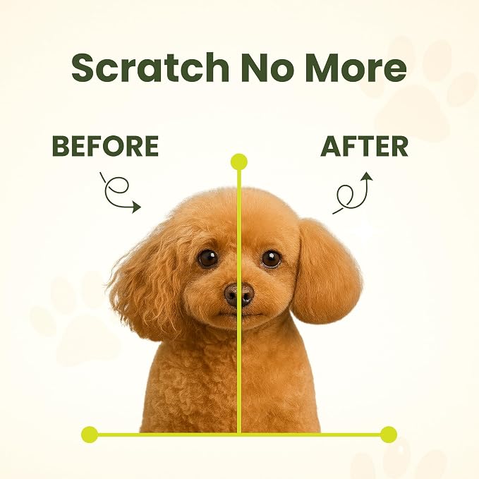 Project Sudz Spa Collection Liquid Shampoo – Coco Limone | Nourishing Natural Pet Shampoo with Coconut & Lemon | Gentle, Eco-Friendly, Safe for Dogs & Cats