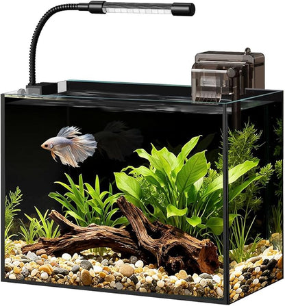 Glass Fish Tank Kit, 2.5 Gallon Betta Fish Tank Aquarium Starter Kit with Filter, Lights, Lid, for Betta, Goldfish, Small Fish or shrimg, Black