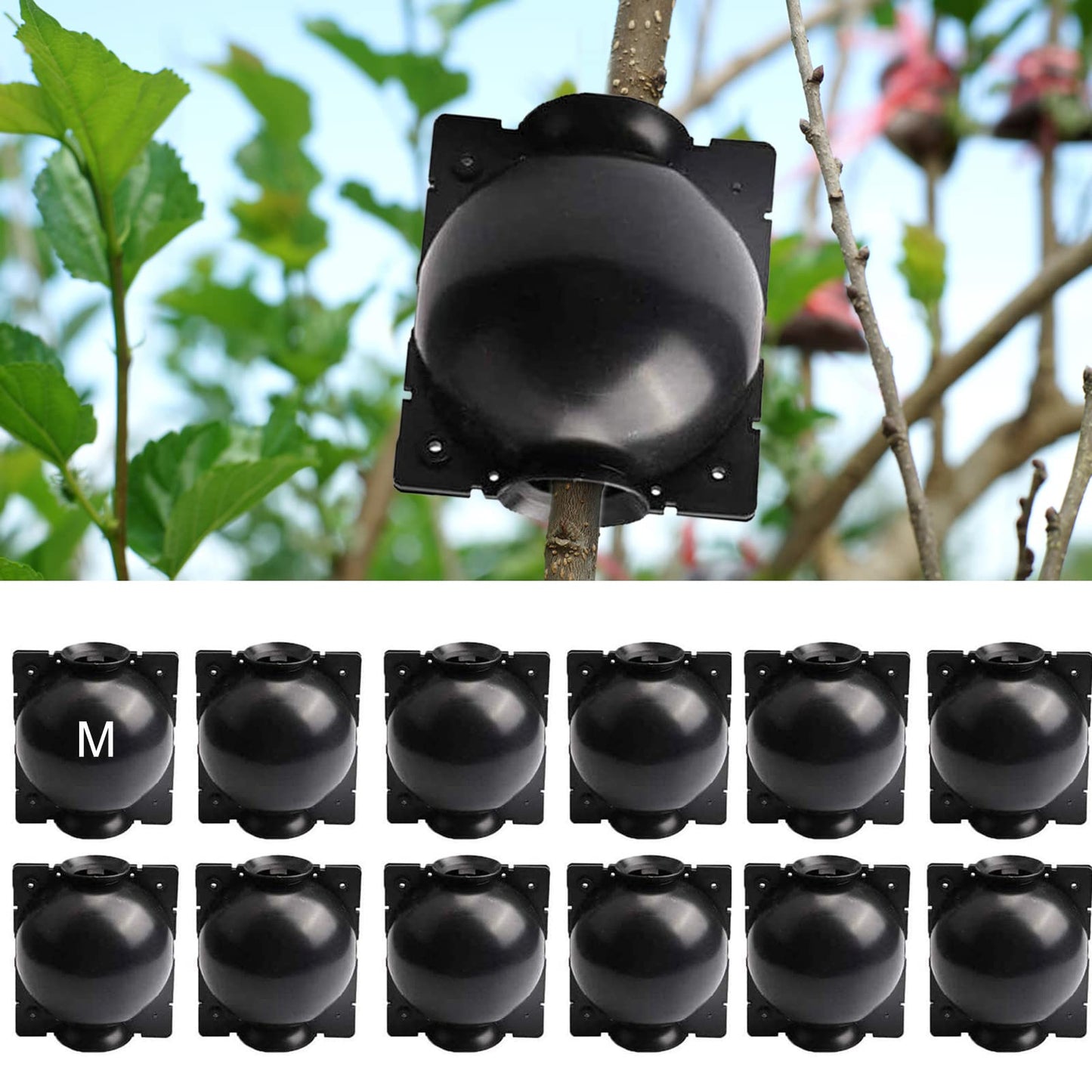 ZUCKBOX 12 PCS Plant Root Growing Box, Reusable Air Layering Propagation Kit Plant Rooting Device, Plant Rooting Grafting Box for Fast Propagation Plants, Medium