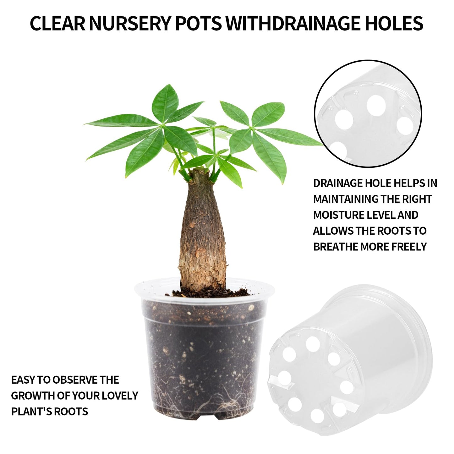40 Pcs Seed Starter Pots Kit 2.5/3.5/4/5 Inch Clear Nursery Pots for Plants for Seedlings,Succulents,Plastic Nursery Pots with Drainage Holes (10 of Each Size),Garden Pot for Outdoor Indoor (Size A)