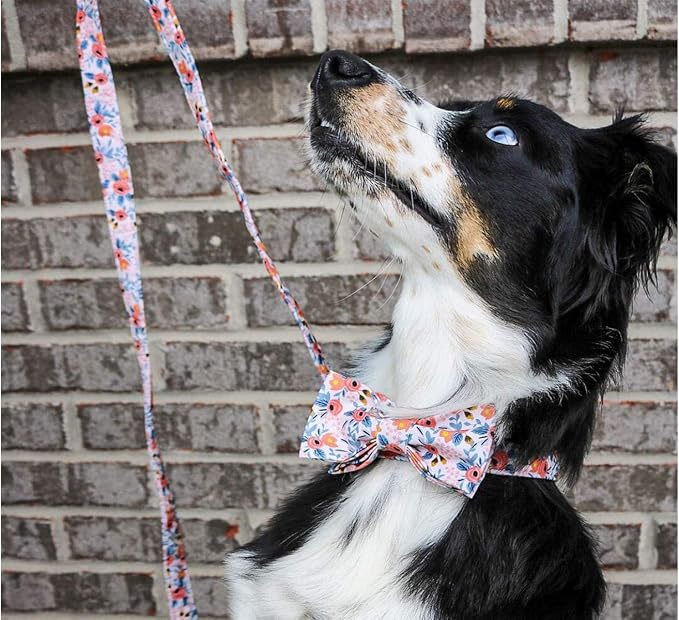 Unique Stlye Paws Strong Dog Leash with Soft & Comfortabel Handle Multipurpose Leashes for Small Medium Large Dogs and Cats