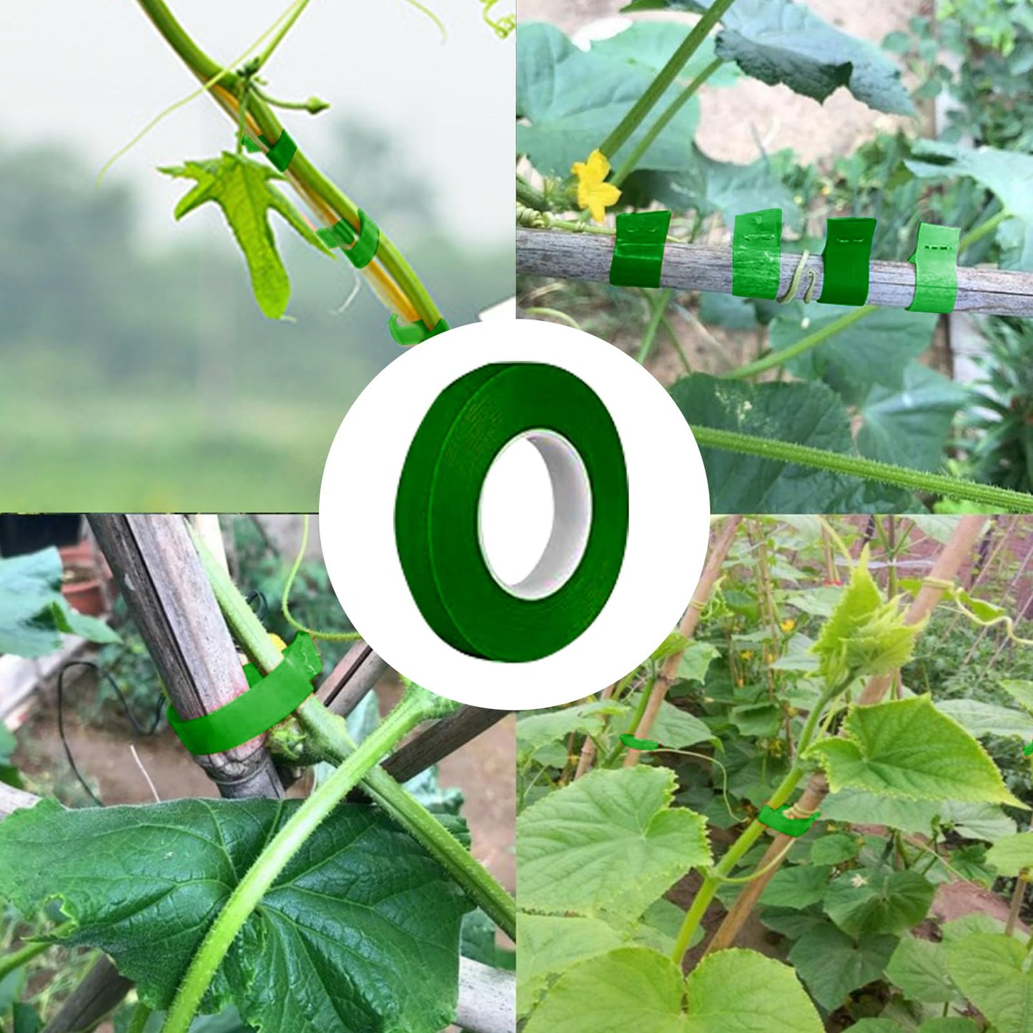 20 Rolls 1640 FT Green Plant Grafting Tape+10000Pcs Staples for Plant Tying Machine,Nursery Tree Tape Support for Climbing Plants Indoor Outdoor, Tree, Vegetables, Branches