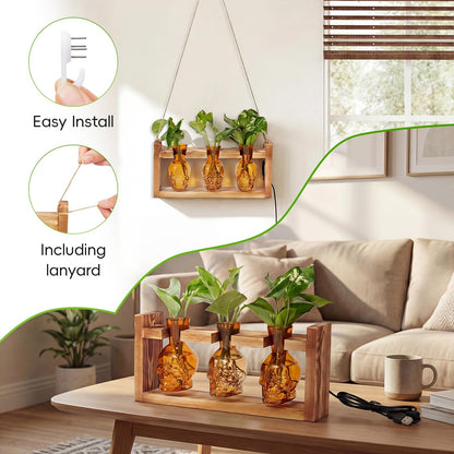 Skull Plant Propagation Station with LED Lights - Halloween Decor Skull Planter, Hydroponics Pot for Office, Unique Gifts for Women & Plant Lovers(Amber)