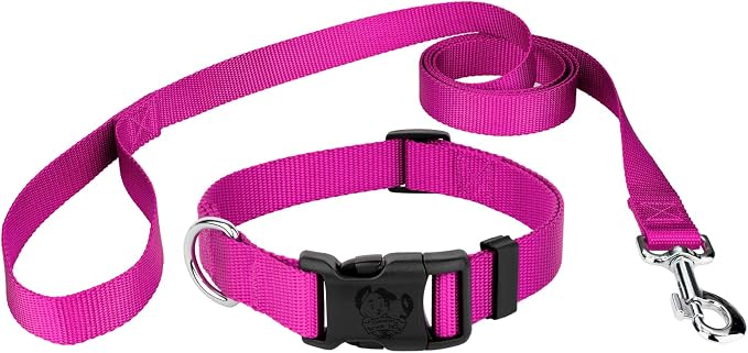 Country Brook Petz - Everyday Nylon Dog Collar and Leash - 10+ Cool Colors (1 Inch, Extra Large, Fuchsia)
