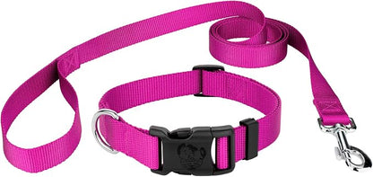 Country Brook Petz - Everyday Nylon Dog Collar and Leash - 10+ Cool Colors (3/4 Inch, Small, Fuchsia)