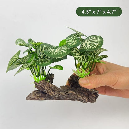 Aquarium Driftwood, Natural Fish Tank Decor for Betta, Reptile Hideout & Terrarium Ornament, Type-B