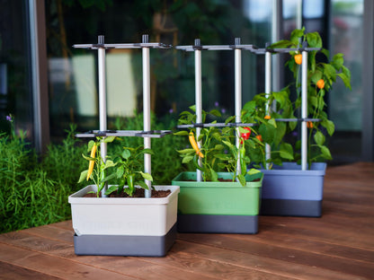 BUZZY Seeds Charly Chili Self-Watering Planter with Vertical Trellis – 1.2 Gal Reservoir, Large Capacity Planter for Chili Peppers, Bell Peppers & Eggplants (Blue)