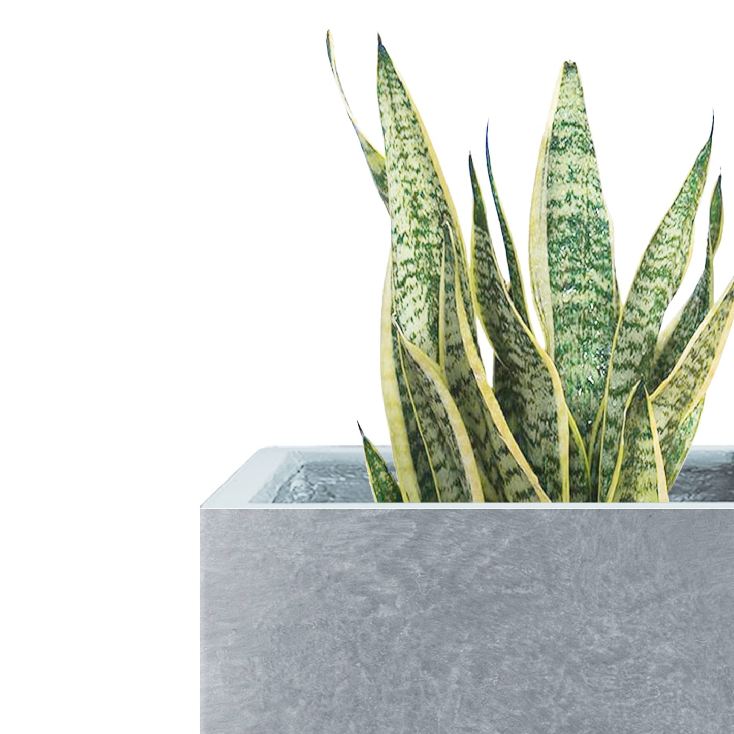 Kante 15.7" H Tall Rectangular Concrete Planters, Outdoor Indoor Lightweight Plant Pots with Drainage Hole and Rubber Plug, Modern Style for Home Garden Patio, Slate Gray