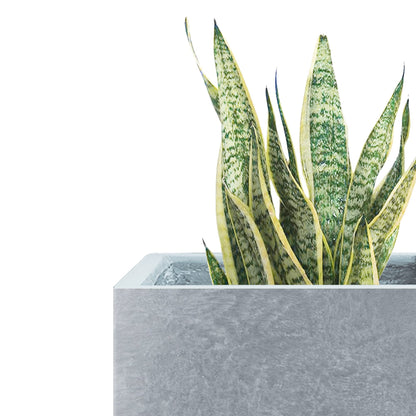 Kante 15.7" H Tall Rectangular Concrete Planters, Outdoor Indoor Lightweight Plant Pots with Drainage Hole and Rubber Plug, Modern Style for Home Garden Patio, Slate Gray