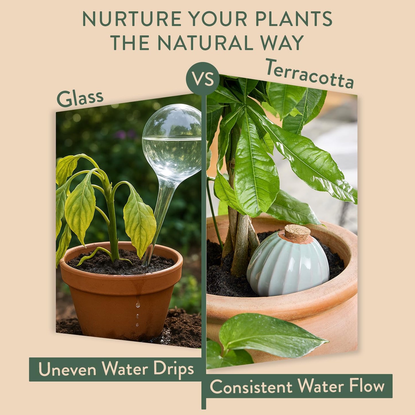 Modern Sprout Terracotta Self Watering Bulbs for Indoor Plants, 10oz Plant Watering Globes 3 Pack, Glazed Finish with Cork Top - Plum, Sage & Mustard, Decorative Plant Accessories Gift for Mom,Grandma