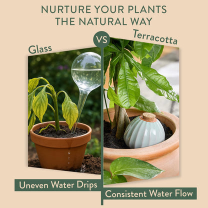 Modern Sprout Terracotta Self Watering Bulbs for Indoor Plants, 10oz Plant Watering Globes 3 Pack, Glazed Finish with Cork Top - Plum, Sage & Mustard, Decorative Plant Accessories Gift for Mom,Grandma