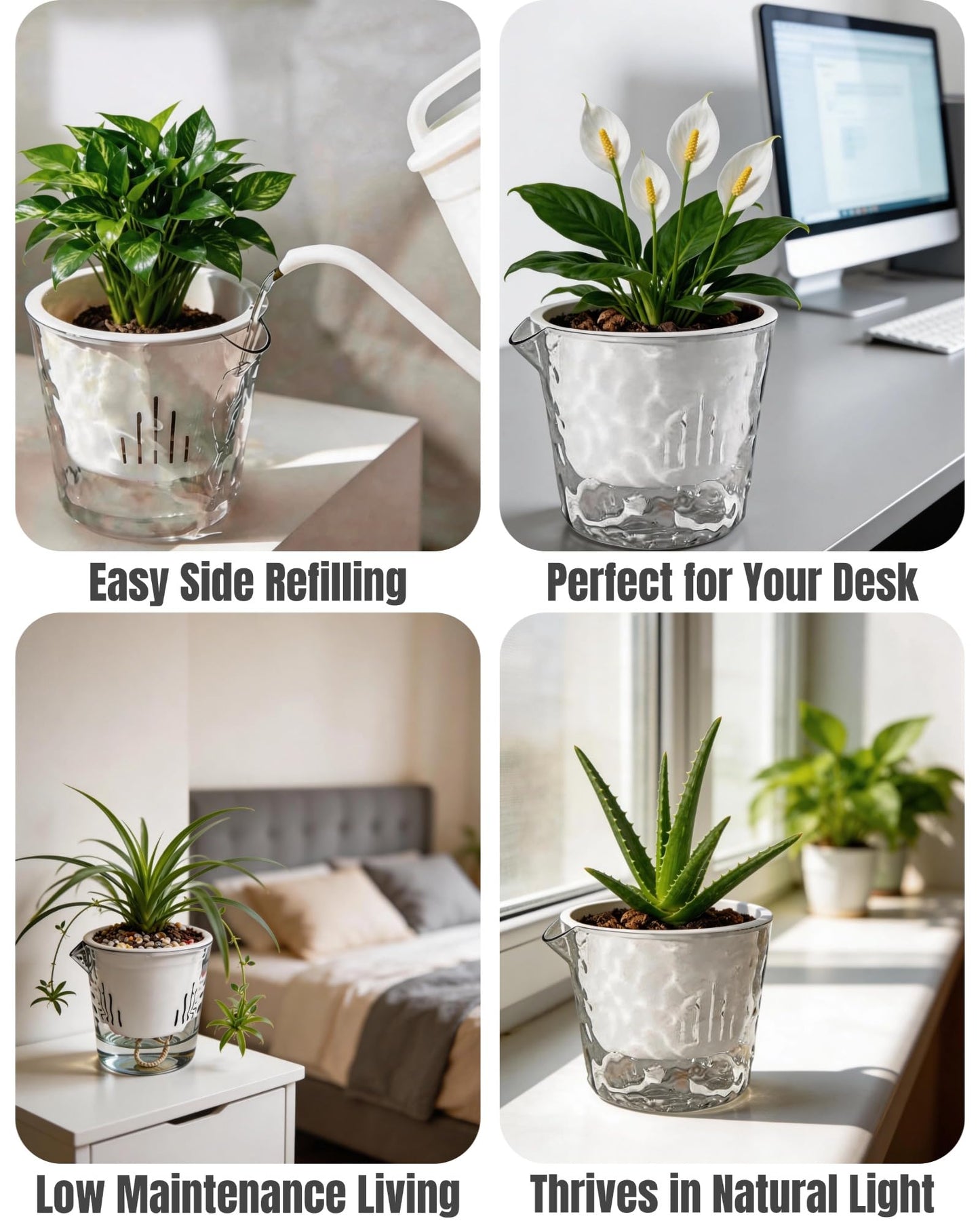 BovcTrraann 3-Pack Clear Self Watering Plant Pots, 5 Inch Clear Flower Pots with Drainage Holes, Tray and Rope, Plastic Self Watering Planters for Indoor Outdoor Garden Plants, African Violet, Herbs