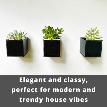 LaLaGreen Wall Planter - 6 Pack, 4 Inch Square Metal Wall Planter for Indoor Plants, Small Black Wall Mounted Flower Pots Outdoor Garden Decoration, Balcony Planters Railings Hanging Outdoor