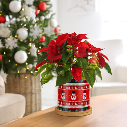 Tioncy 6 Pcs Christmas Plant Pots 3.15'' Christmas Ugly Sweater Plastic Succulent Planters with Drainage and Tray for Indoor Plants Small Plant Pot Set Plant Containers for Outdoor Planters