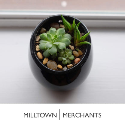 Milltown Merchants Succulent Wall Planters - Wall Vases - Black Ceramic Wall Mounted Planters - Succulent Plant Pots - Hanging Vases for Living Wall (2 Pack/Modern/Black)