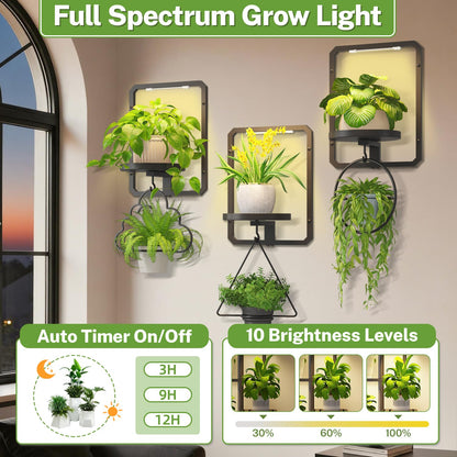 iDavosic.ly Wall Plant Picture Frame Holder Set of 3 with 3 Grow Light for Indoor, Metal Stand with Hanging Hooks, Space Saving Floating Flower Display Decor (Pots/Chains/Plants Not Included)