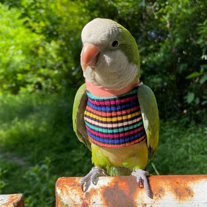 Bird Clothes - Handmade Cotton Stripe Shirt Round Collar Sweater Flight Suit for Parrots African Greys Parakeet Cockatiel Sun Conure Christmas Halloween (Without Diaper,L)