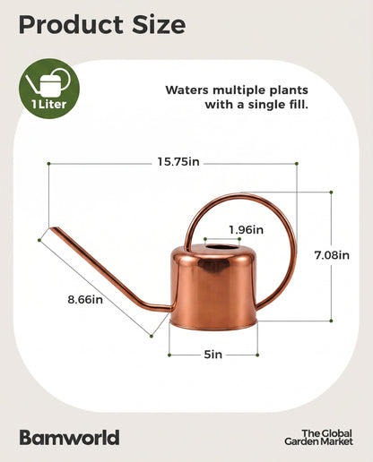 Bamworld Metal Watering Can Indoor Plants 1L 33oz Gold Stainless Steel Watering Can with Long Spout for House Potted Plants Succulents Bonsai Garden Flowers