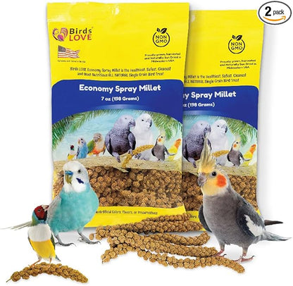 Birds LOVE Economy Special Spray Millet | GMO-Free (No Stems Only Edible Tops) for Birds Cockatiel, Lovebird, Parakeet, Finch, Canary All Parrots Healthy Treat 7 oz -Pack of 2