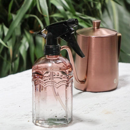 OFFIDIX Watering Can for Indoor Plants Long Spout Metal Stainless Steel 21 oz Small Watering Can with 14 oz Glass Plant Mister Spray Bottle for Plants Bonsai
