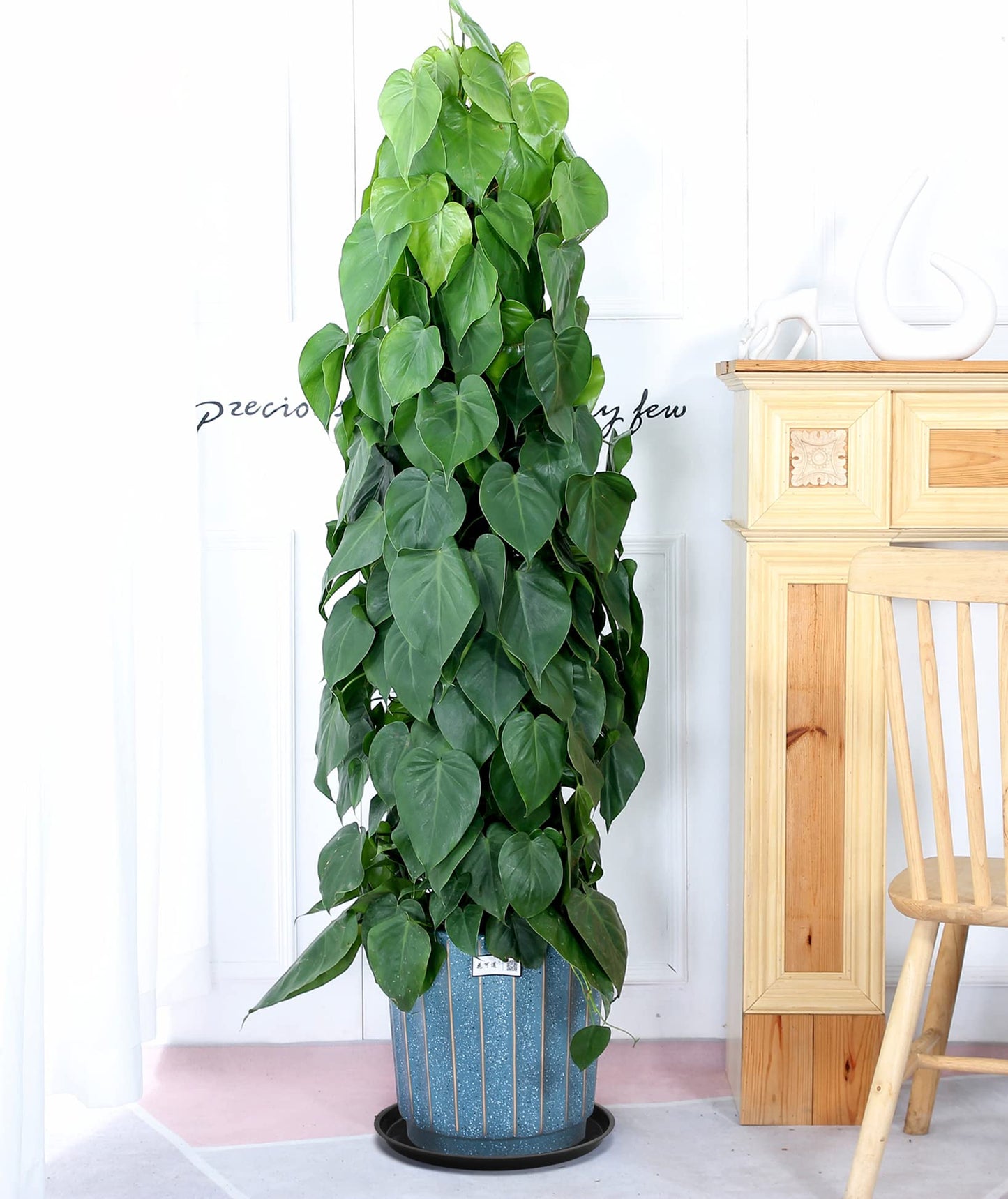 GRESPRI Black Plant Saucer 20 Inches for Indoors/Outdoors, 3 Packs Bonsai Planter Pot Saucer 18 Inches Base Extra Large Plant Trays for Pots.