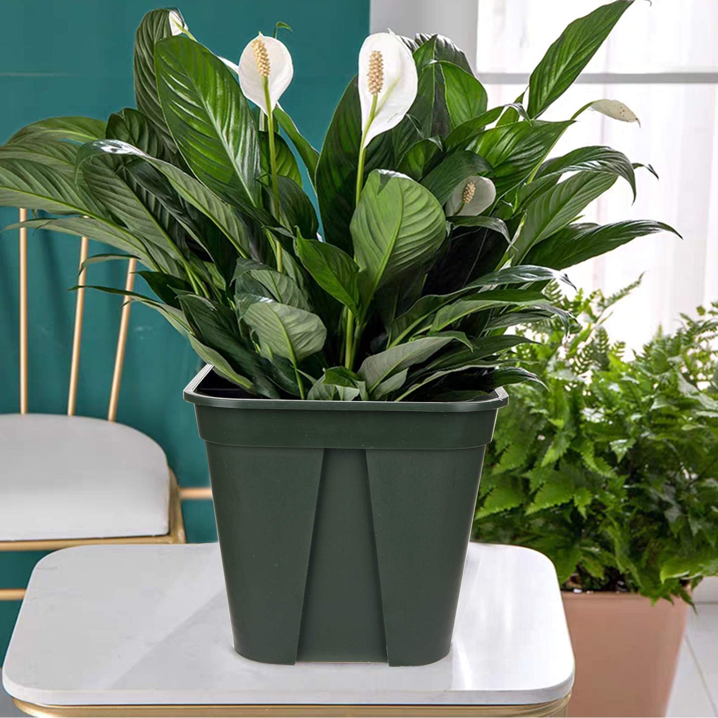Fasmov 10 Pcs Square Nursery Pot 7 Inch Plastic Plant Pots with Drainage Hole Garden Flower Pots Nursery Plant Container, Flower Planters with Trays for Succulents Herbs Cactus, Green