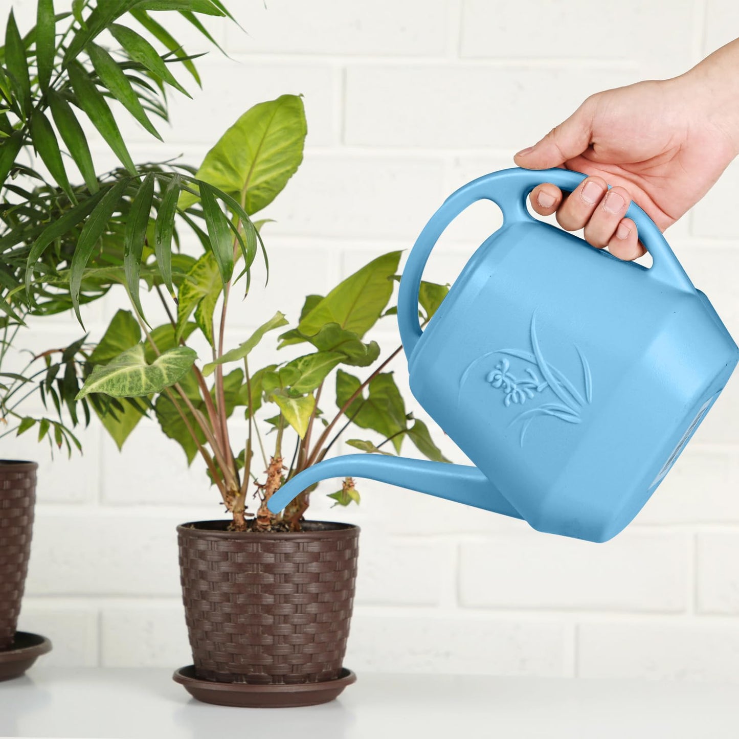 ZXJ Plant Watering Can - for Indoor and Outdoor Home Garden Plants - with Long Spout - Skye Blue - 1/2 Gallon