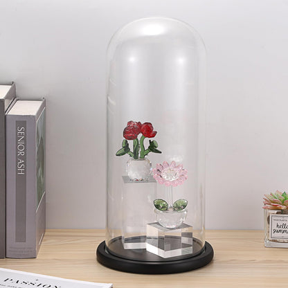 JUXYES 13.8 Inches Glass Display Dome Cloche with Black Wood Base, Clear Glass Dome Cloche Bell Terrarium Jar Glass Cloche Bell Jar Display for Plants Collectible Figure, 15x35cm