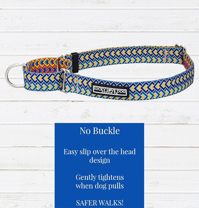 Lucky Love Dog Martingale Collar and Leash Set, Premium No Slip Collar for Male Dogs, Comfortable & Soft Martingale Dog Collars, Great for Whippets, Greyhounds, and More (Murphy, Large - Combo)