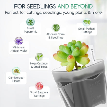 FIMXSD 12 Pack 2" Small Self-Watering Planter Pots - Mini Clear Seed Starter Pots with Visible Water Level, Plastic Nursery Pots for Succulents, Herbs, and Propagation - Includes 12 Plant Labels