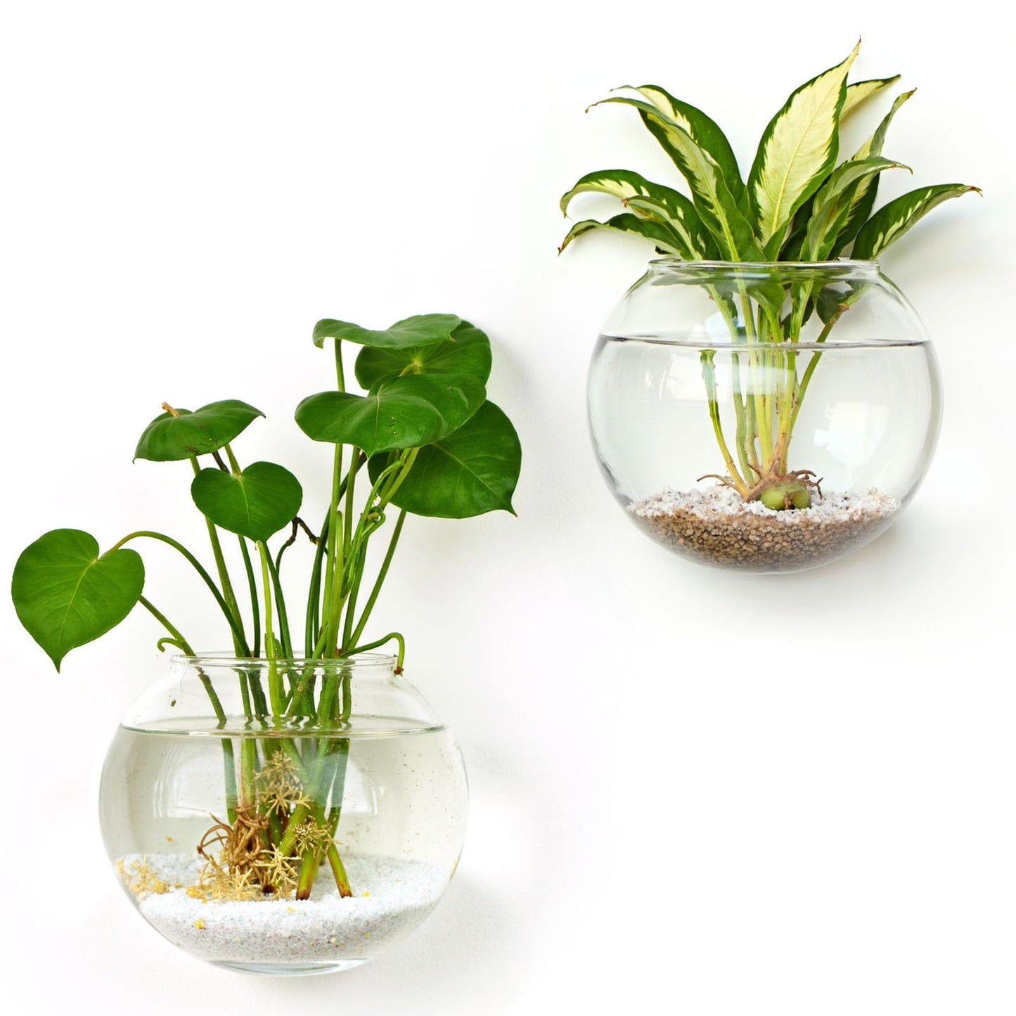 DomeStar 2PCS Wall Flower Vases, Wall Hanging Glass Planter Propagation Station Mounted Vases for Hydroponics Plants Propagation Living Room Office Home Decor (5 inch)