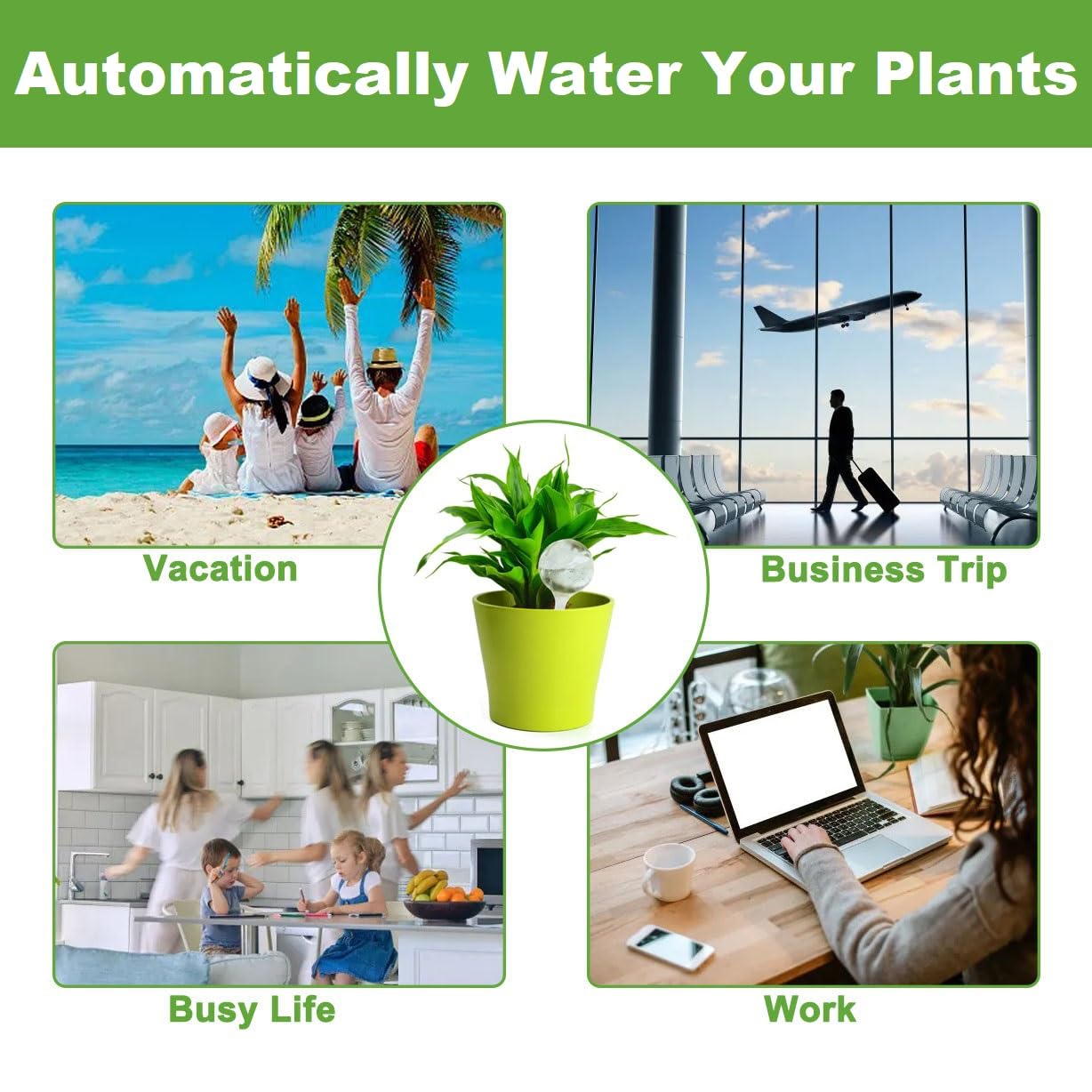 Plant Watering Globes, Self Watering Bulbs for Indoor & Outdoor Plants, Plastic Self-Watering Balls Automatic Water Irrigation Device (Clear, Large 12 Pack)