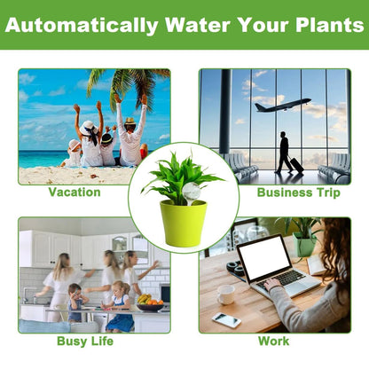 Plant Watering Globes, Self Watering Bulbs for Indoor & Outdoor Plants, Plastic Self-Watering Balls Automatic Water Irrigation Device (Clear, Large 12 Pack)