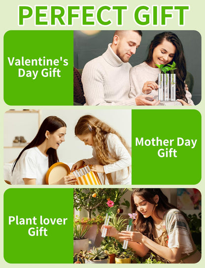 8 Tube Glass Plant Propagation Stations Clear Glass Test Tubes Tiered Planters Accessories for Home Office Plant Hanger Flower Vases Wall Decor Hydroponic Cuttings Clear Vases