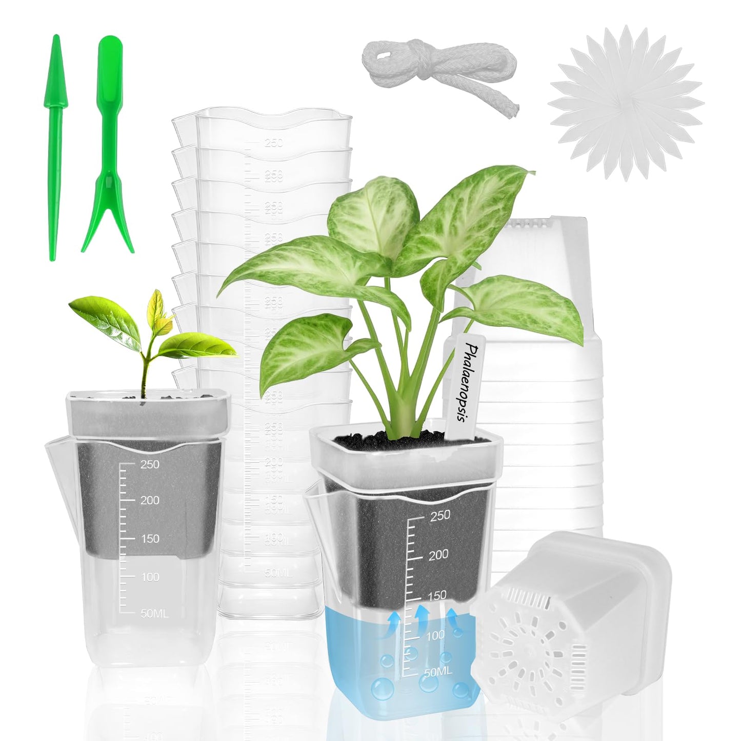 ZPAIO 10 Pack 2.5" Mini Self Watering Pots for Indoor Plants, Small Clear Plastic Planters with Drainage & Water Level, Semi Hydroponic Pots for African Violet, Propagation and Succulents