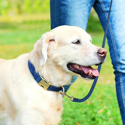 Genuine Leather Dog Collar - Adjustable Pet Collar with Quick Release Metal Buckle, Soft Skin Friendly Real Leather Collar for Small, Medium, Large Dogs (Blue, S：Fit 8-16" Neck)