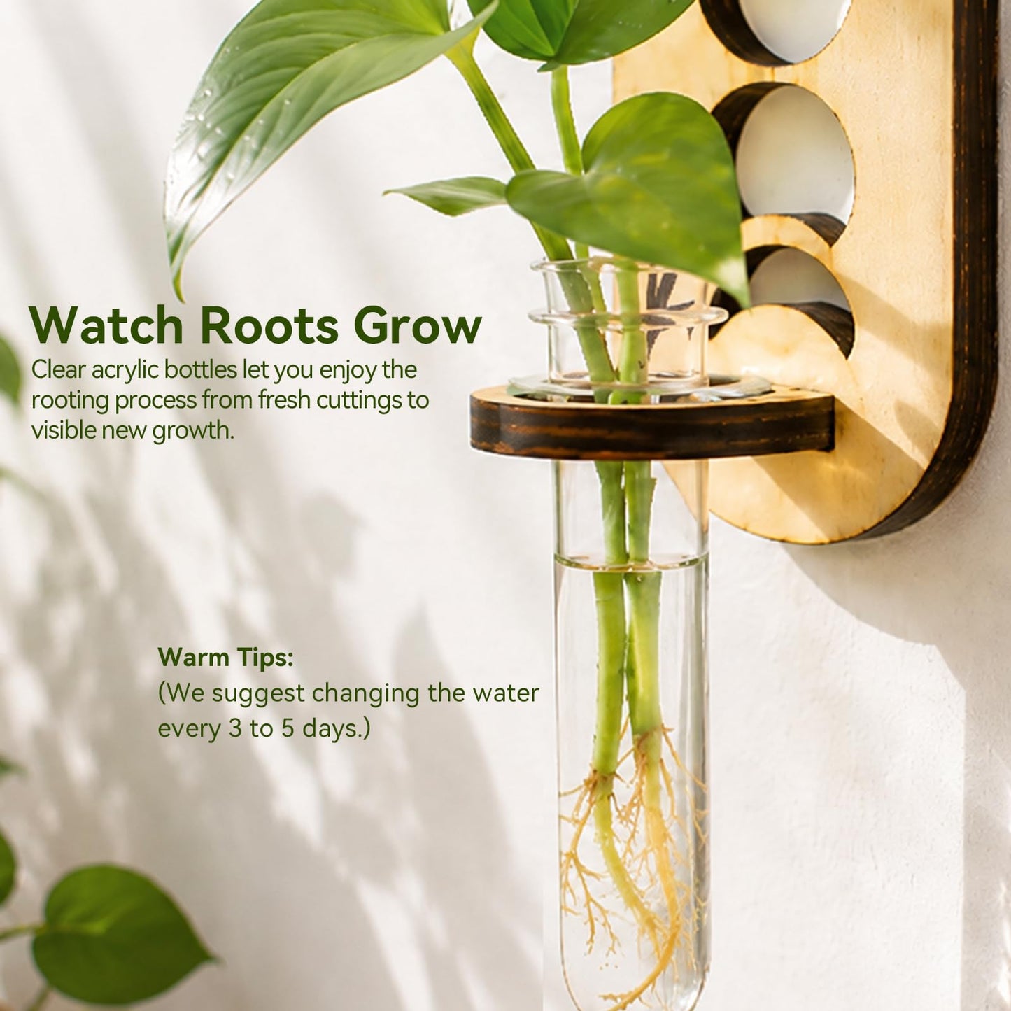 Artilady Plant Propagation Station 2 Pack Wall Hanging Plant Terrarium Holder with Test Tube Wood Window Planter Indoor Decor for Living Room Bedroom Kitchen (Moon Phase)