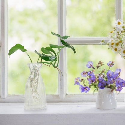 SUPVOX 4pcs Small Glass Hydroponic Vases Decorative Desk Flower Vases for Table Centerpieces Home Décor Glass Plant Terrarium Bottles