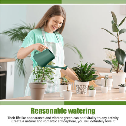 ZXJ Plant Watering Can - for Indoor and Outdoor Home Garden Plants - with Long Spout - Blackish Green - 1/2 Gallon