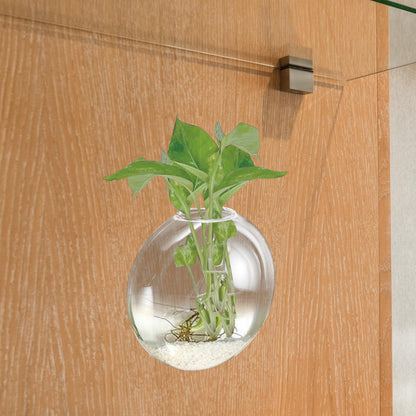 Abaodam Wall Hanging Hydroponic Glass Vase for Plants, Tall Glass Terrarium Planter, Decorative Home Wall-Mounted Flower Pot for Indoor Garden