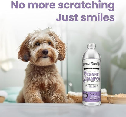 Project Sudz Gentle All Natural Dog Shampoo – Lavender | Soothing Liquid Shampoo for Dogs | Calming, Eco-Friendly, Non-Toxic, Made in USA