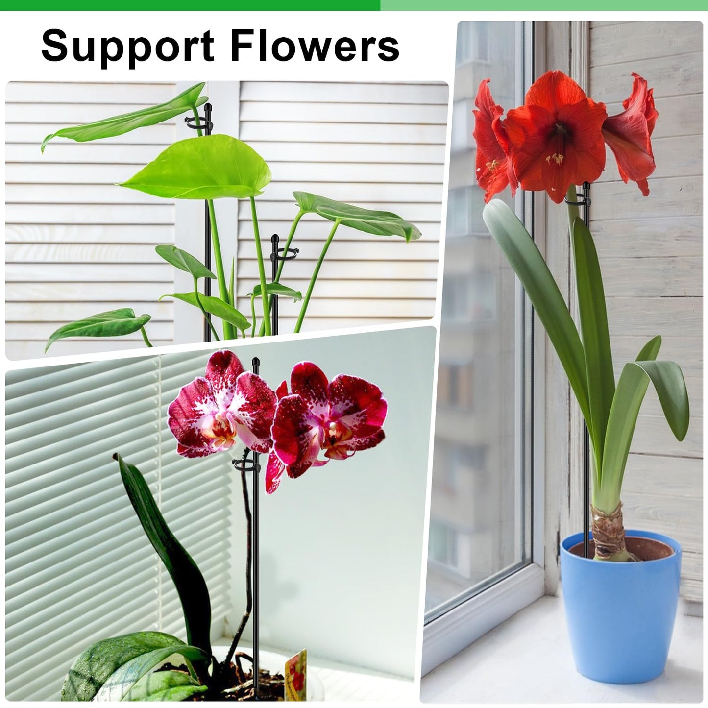 30Pcs Plant Support Stakes 17 inch SupKing Garden Orchid Sticks Extended to 3ft 4ft 5ft Plant Poles with Clips for Indoor Outdoor Potted Tomato Rose Amaryllis Vegetables Comes with 20 Ties(Black)