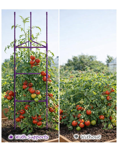 Growsun 51 inch Tomato Cage Heavy-Duty Plant Support Cucumber & Vine Vegetables – Adjustable Purple Metal Garden Trellis for Climbing Plants, Indoor & Outdoor Use, 6 Pack