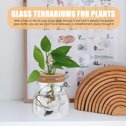 IDEANATEGRATE Glass Plant Jar Hole Lid Micro Landscape Terrarium Container Hydroponic Vases for Desktop Gardening Glass Ecosystem Container (Size)
