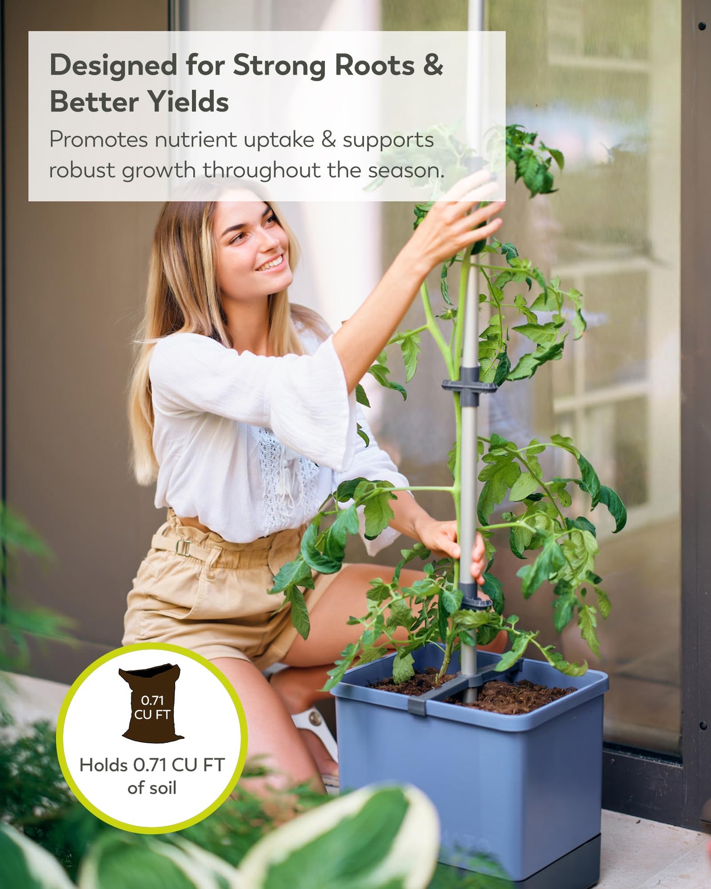 BUZZY Seeds Self-Watering Vertical Tomato Planter with Trellis – 1.2 Gal Reservoir, Large Capacity Planter for Tomatoes & Climbing Plants (Blue)