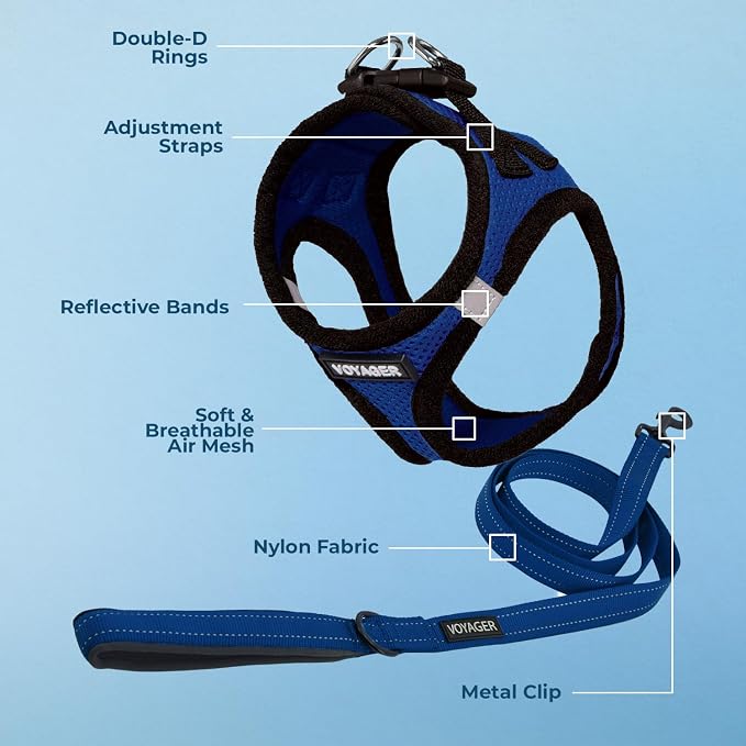 Best Pet Supplies Voyager Step-in Air All Weather Mesh Harness and Reflective Dog 5ft Leash Combo with Neoprene Handle, for Small, Medium and Large Breed Puppies - Royal Blue/Black Trim, X-Large