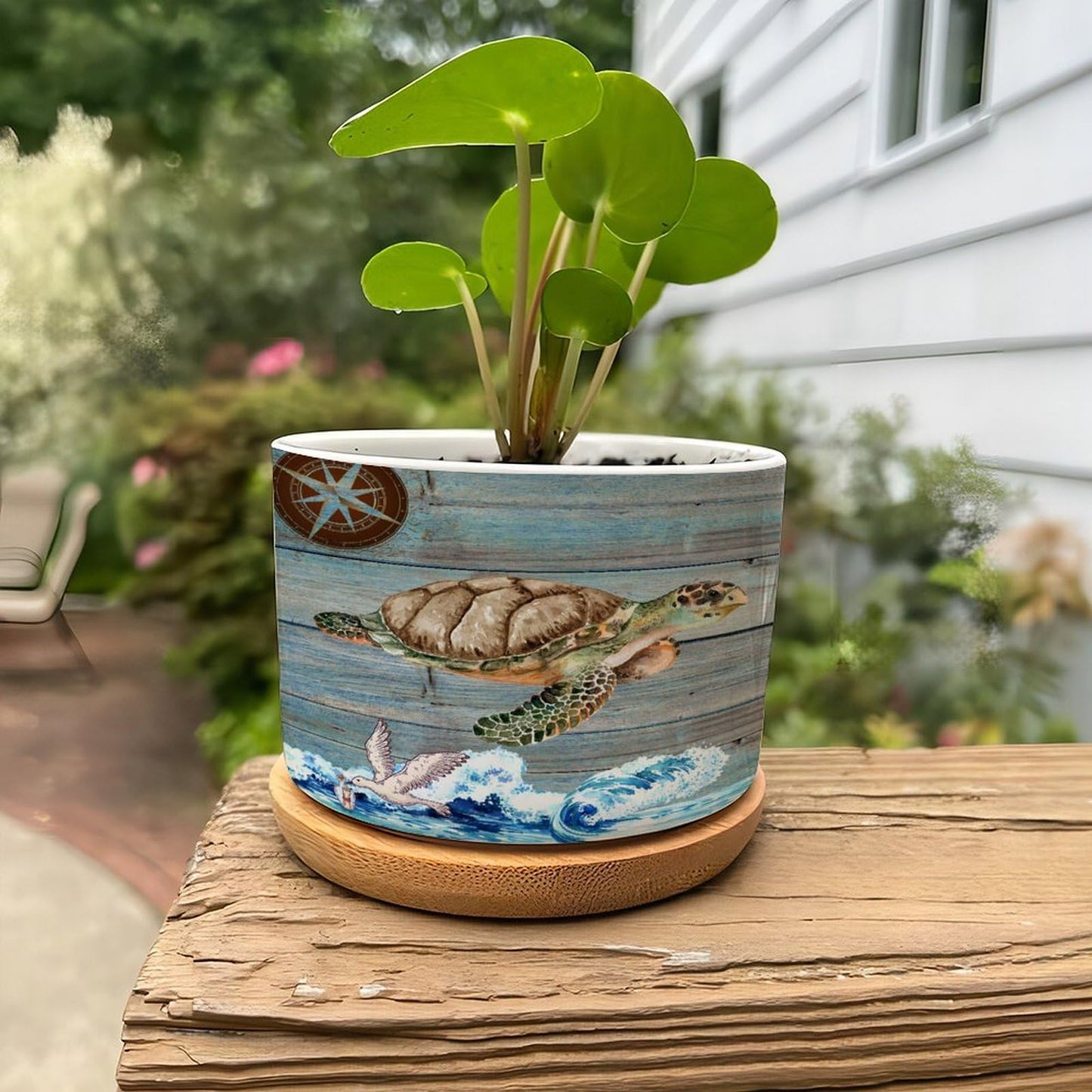 DreamAutumn Ocean Theme Sea Turtle Ceramic Pots for Plants with Drainage Holes Round Flower Pot Bamboo Tray Orchid Pot Succulents Pots for Outdoor Indoor Plants,Housewarming Gifts