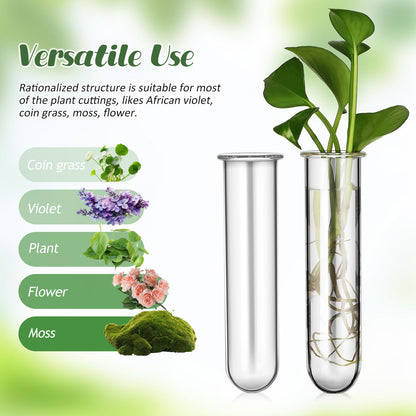 LIFKOME 5pcs Glass Test Tube Plant Vases 2.5x3x11cm Hydroponic Flower Tubes Propagation Station for Indoor Terrarium Gardening
