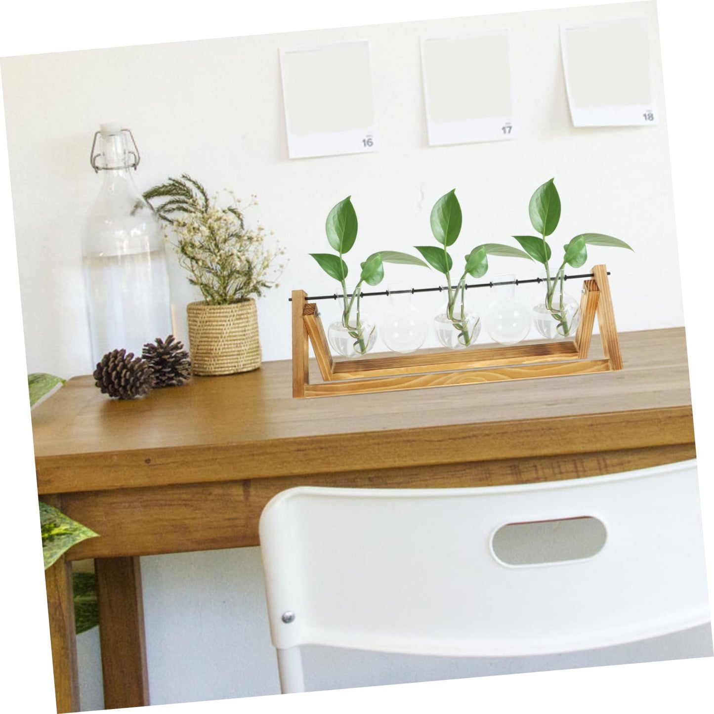 BESPORTBLE Wooden Stand Plant Propagation Glass Vases for Hydroponic Plants Terrarium for Home Decor