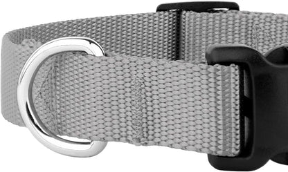 Country Brook Petz - Everyday Nylon Dog Collar and Leash - 10+ Cool Colors (1 Inch, Extra Large, Silver)